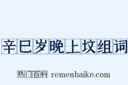 辛巳岁晚上坟组词是什么意思的图片